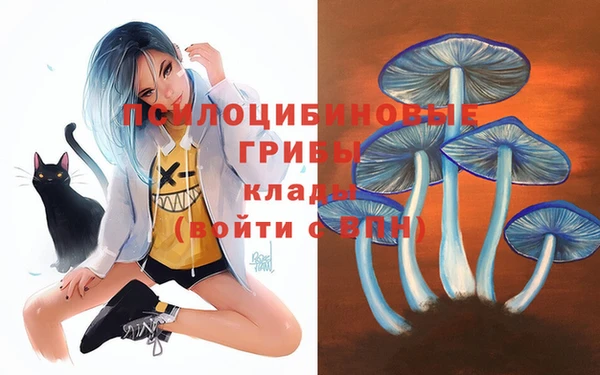 бошки Карталы