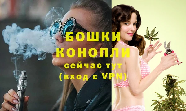 мдпв Кинешма