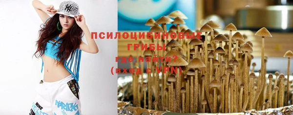 мдпв Кинешма