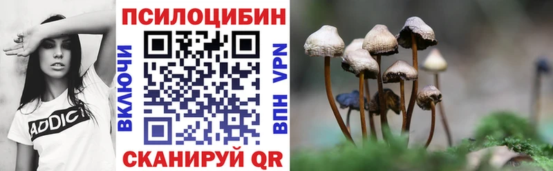 Галлюциногенные грибы Psilocybine cubensis  Курчатов 