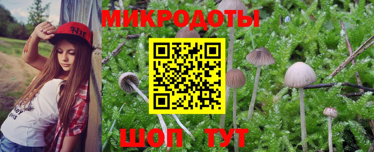 Галлюциногенные грибы мицелий  Псилоцибиновые грибы мицелий  Курчатов  Вход с VPN 